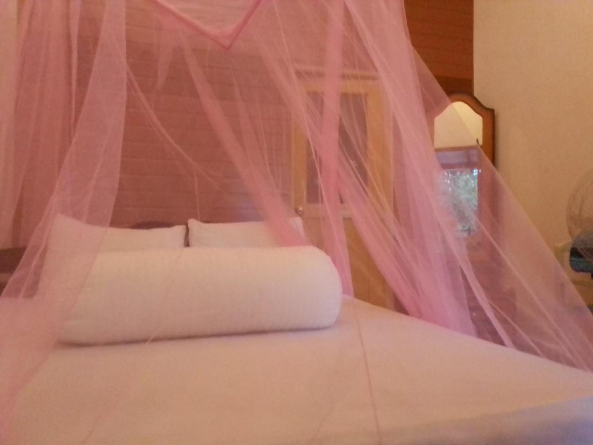 Talblick Homestay Ella Szoba fotó