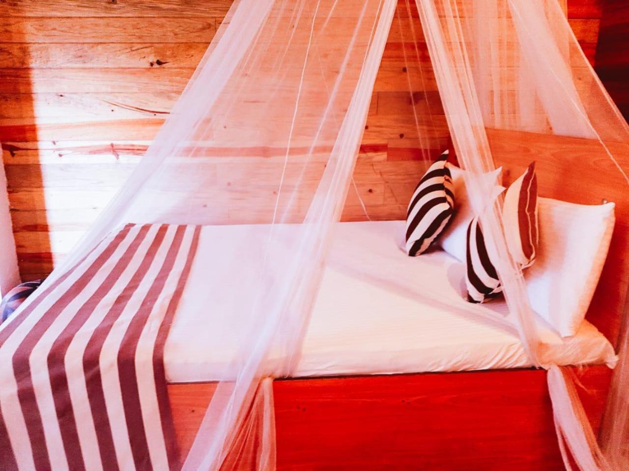Talblick Homestay Ella Kültér fotó